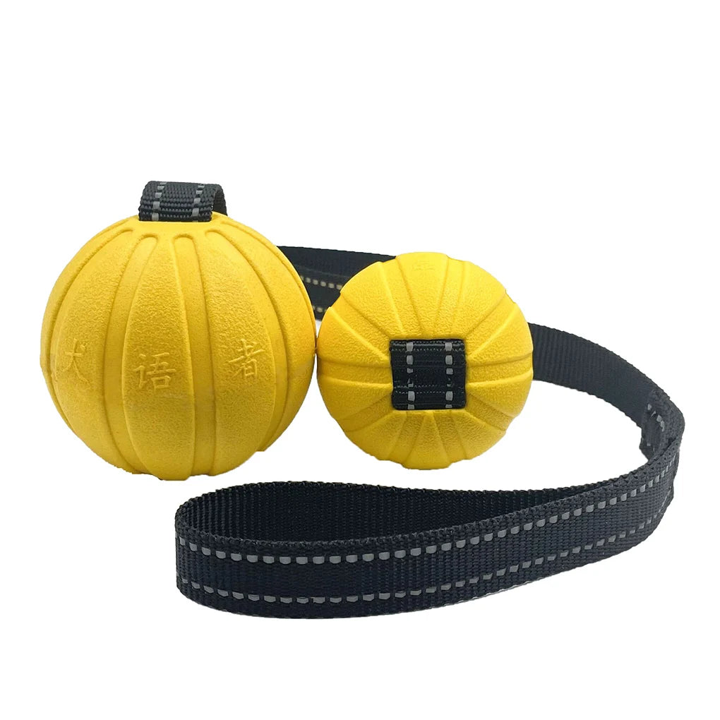 Ball On a Rope