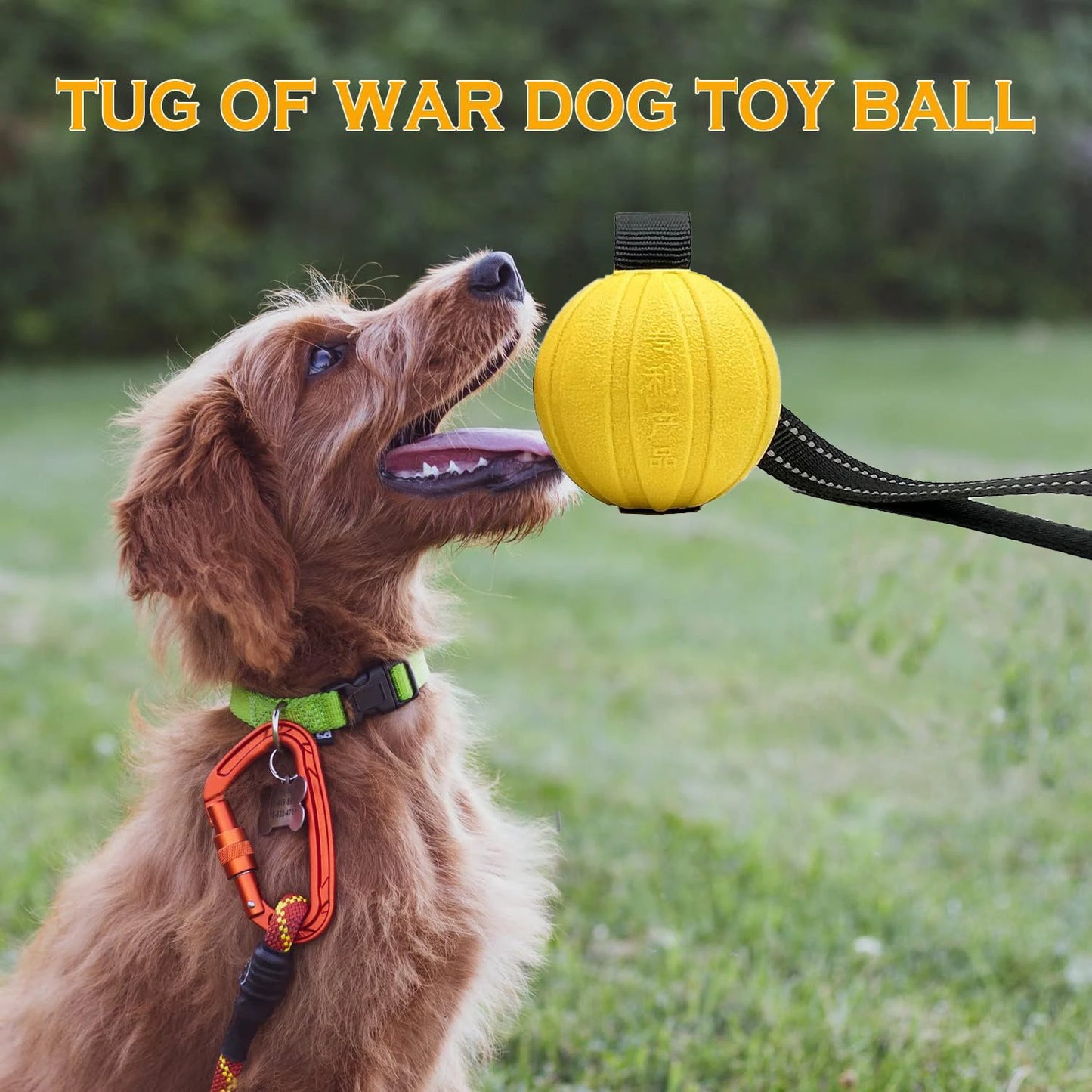 Ball On a Rope