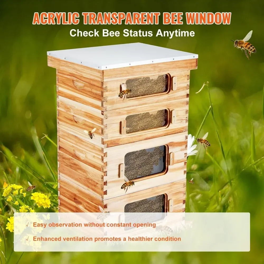 10 Frame Bee Hive