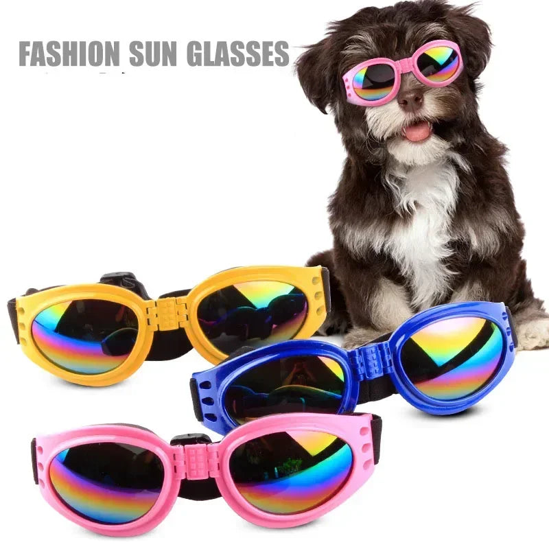 Sunglasses For Small, Medium, & Large Dogs