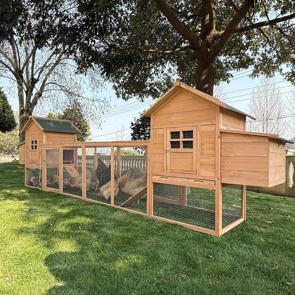 Outdoor Chicken Coop for 4-8 Chickens