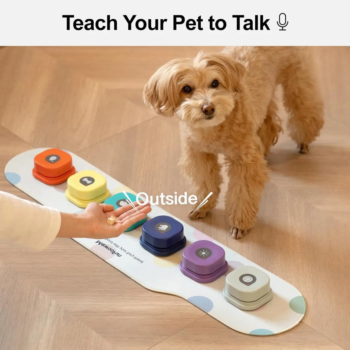 Training Buttons Set 6 Packs for Communication