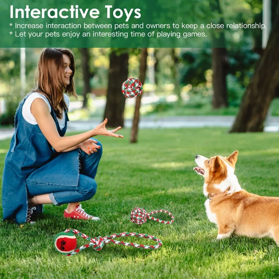 Aggressive Chewers Dog Toys