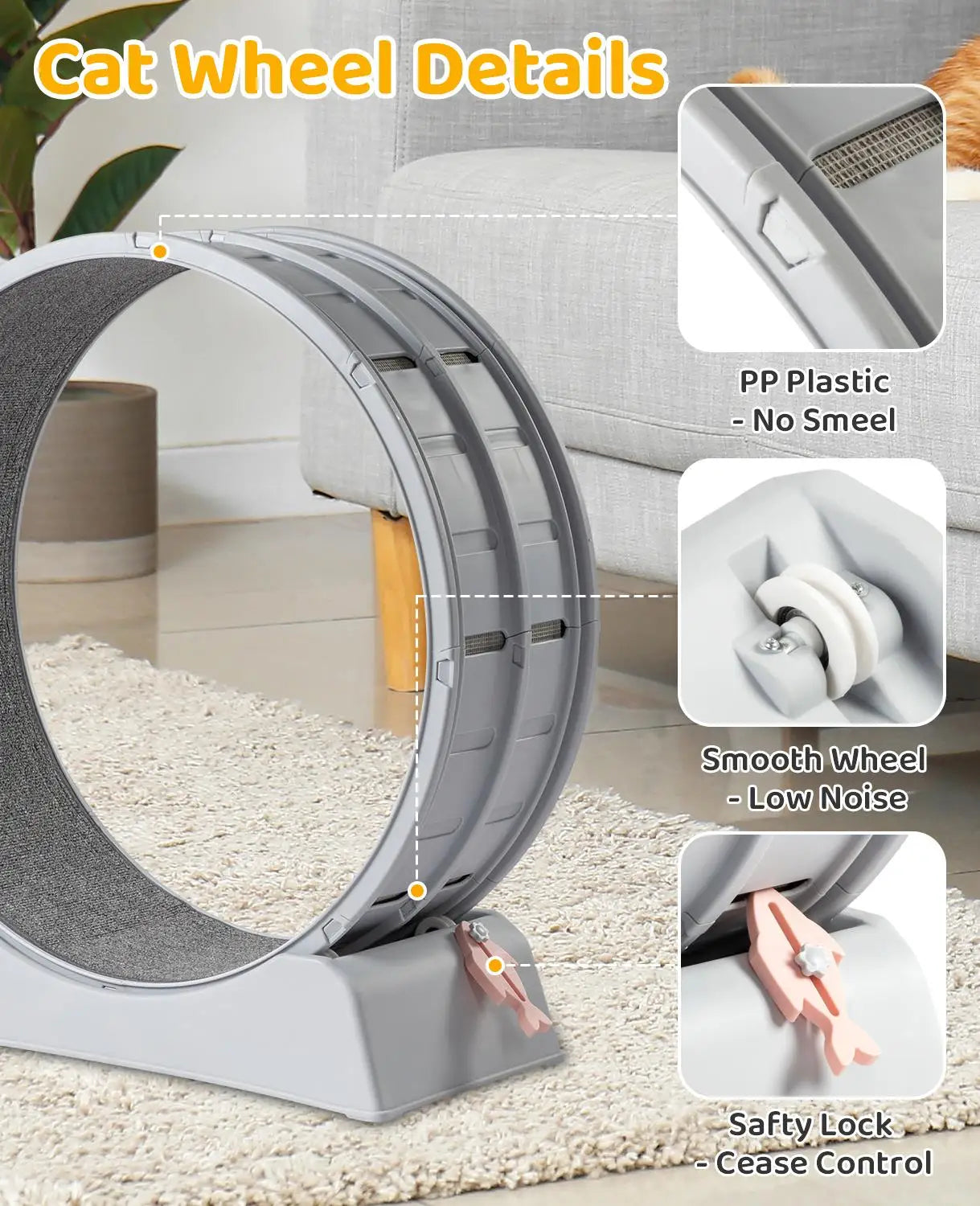 31-Inch Treadmill for cats