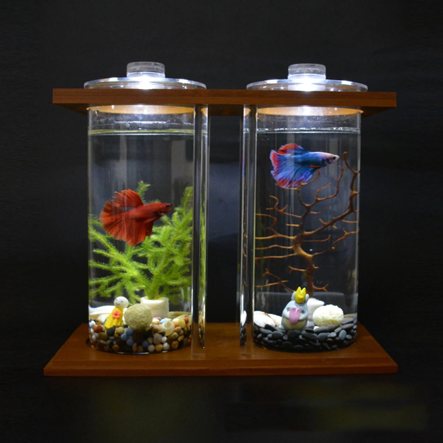 Mini Fish Tank