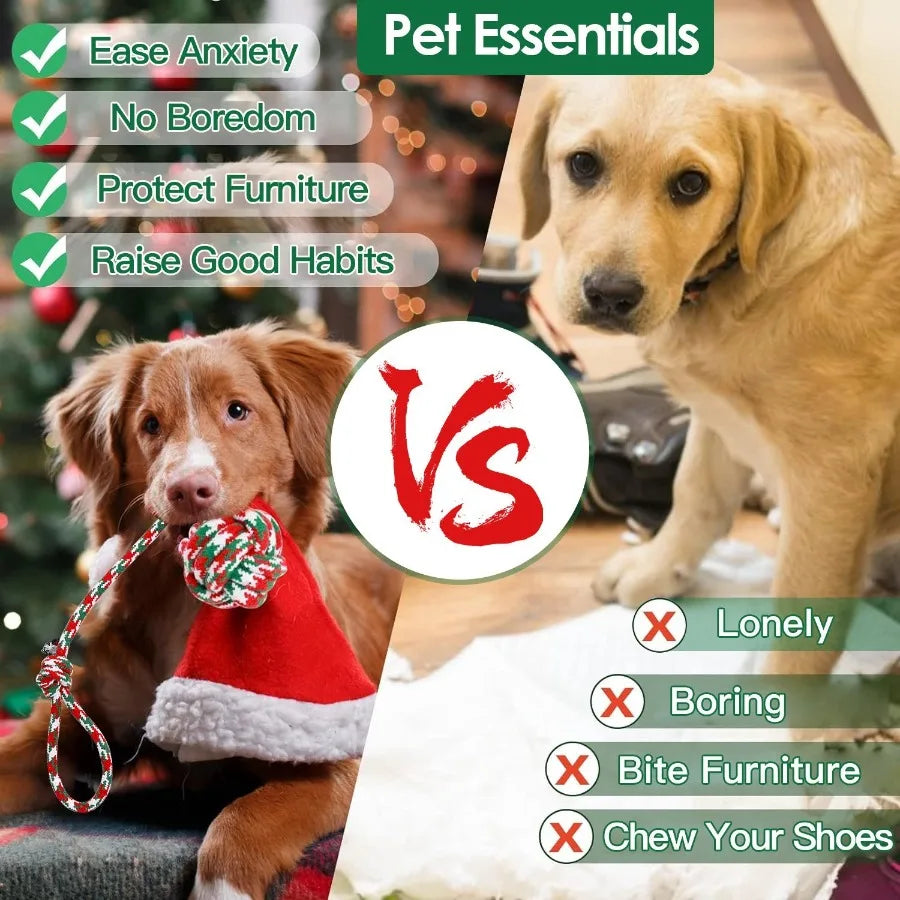 Aggressive Chewers Dog Toys