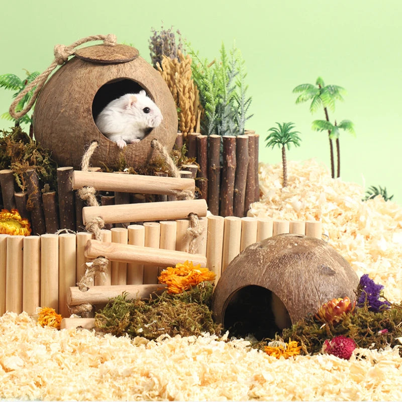 Natural Small Pet Coconut Hideout House