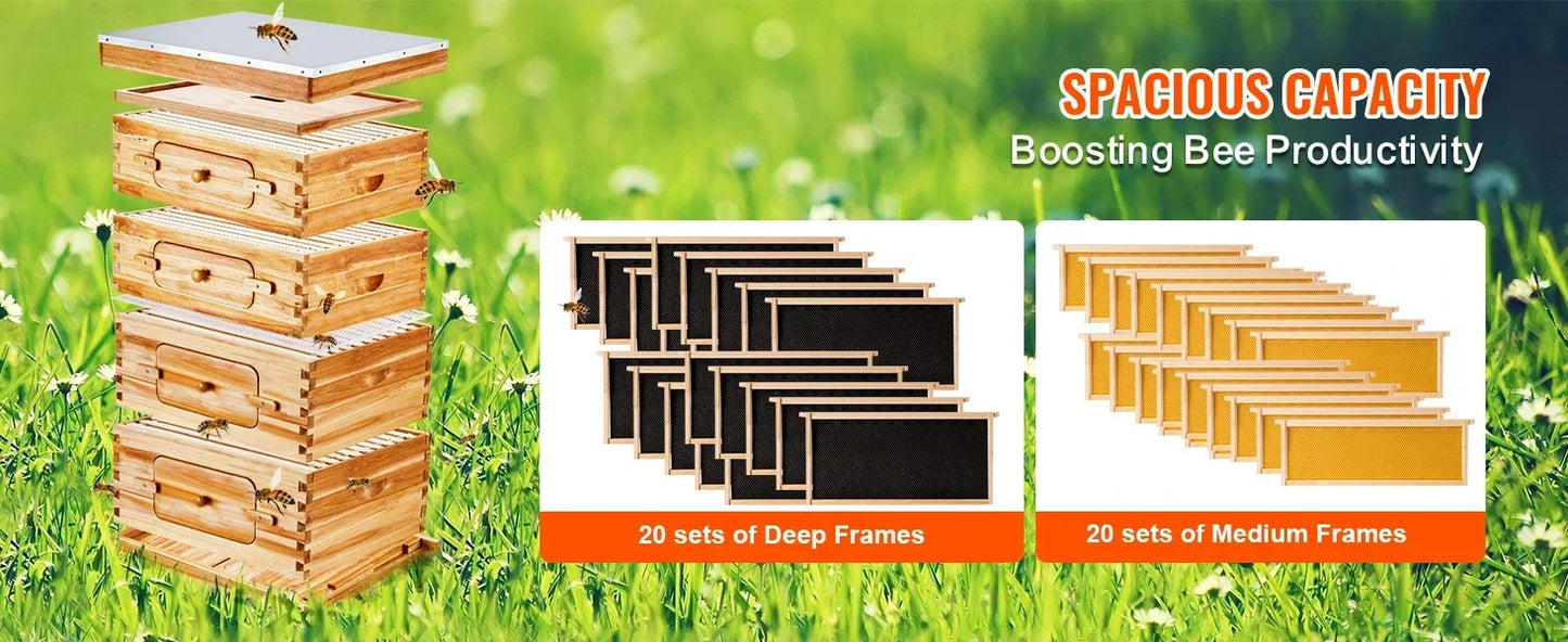 10 Frame Bee Hive