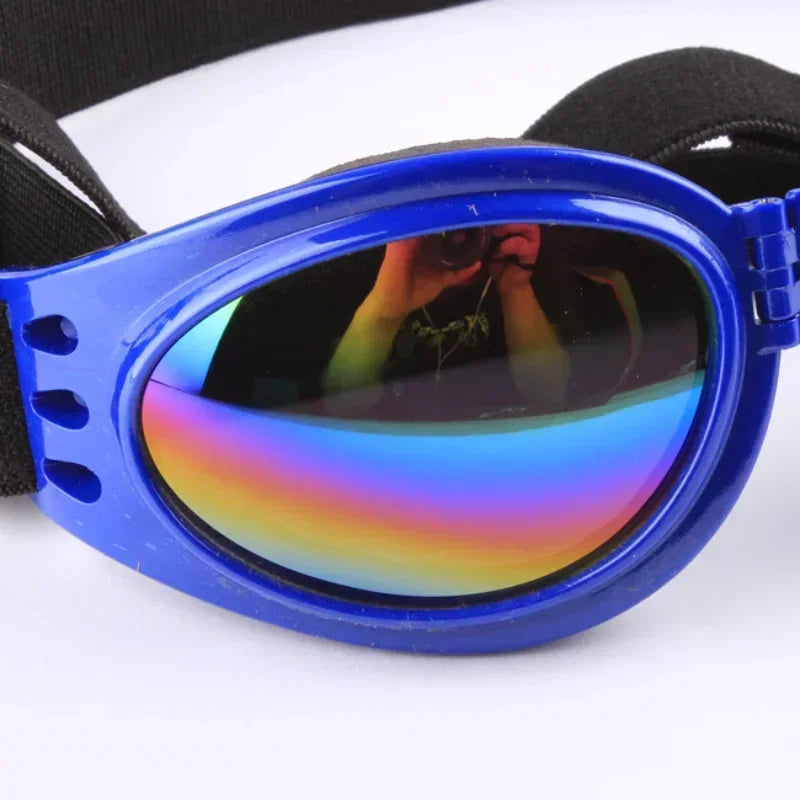 Sunglasses For Small, Medium, & Large Dogs