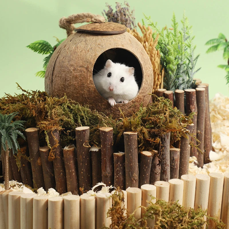 Natural Small Pet Coconut Hideout House