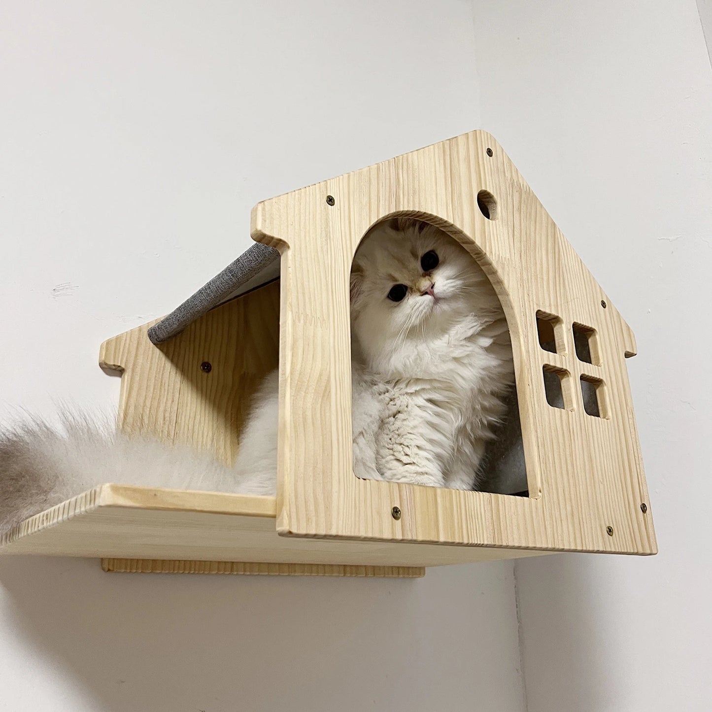 Wall Mounted Cat Condo