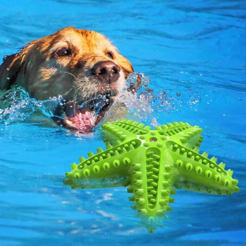 Starfish Interactive Rubber Toys