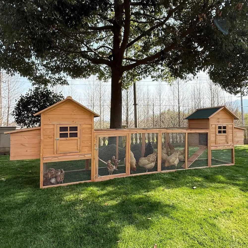 Outdoor Chicken Coop for 4-8 Chickens
