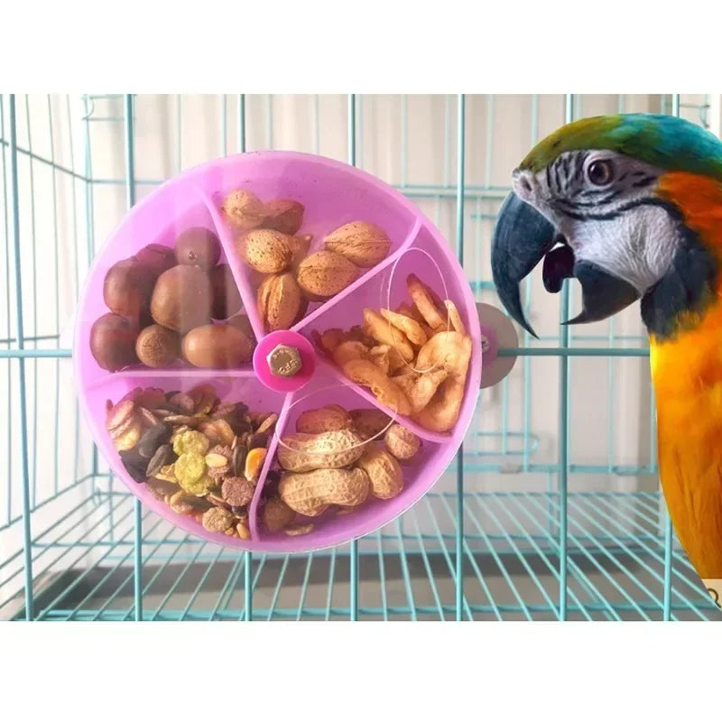 Foraging Food Box for Birds