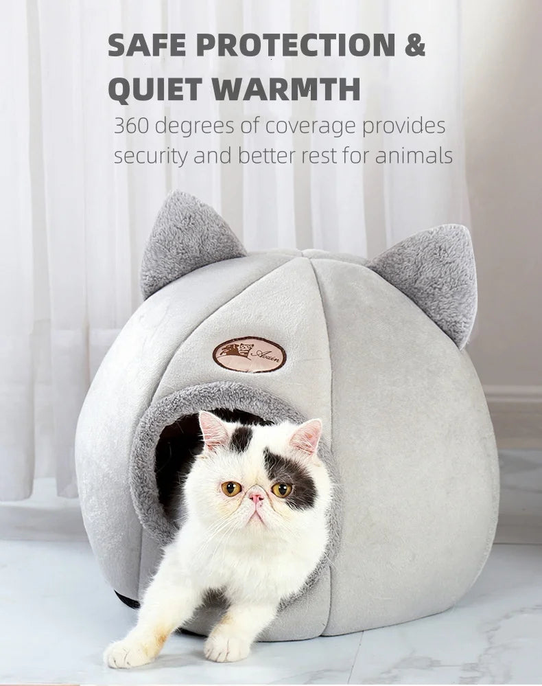Cat bed