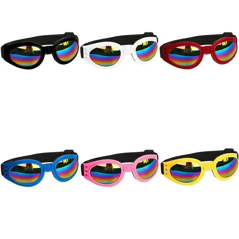 Sunglasses For Small, Medium, & Large Dogs