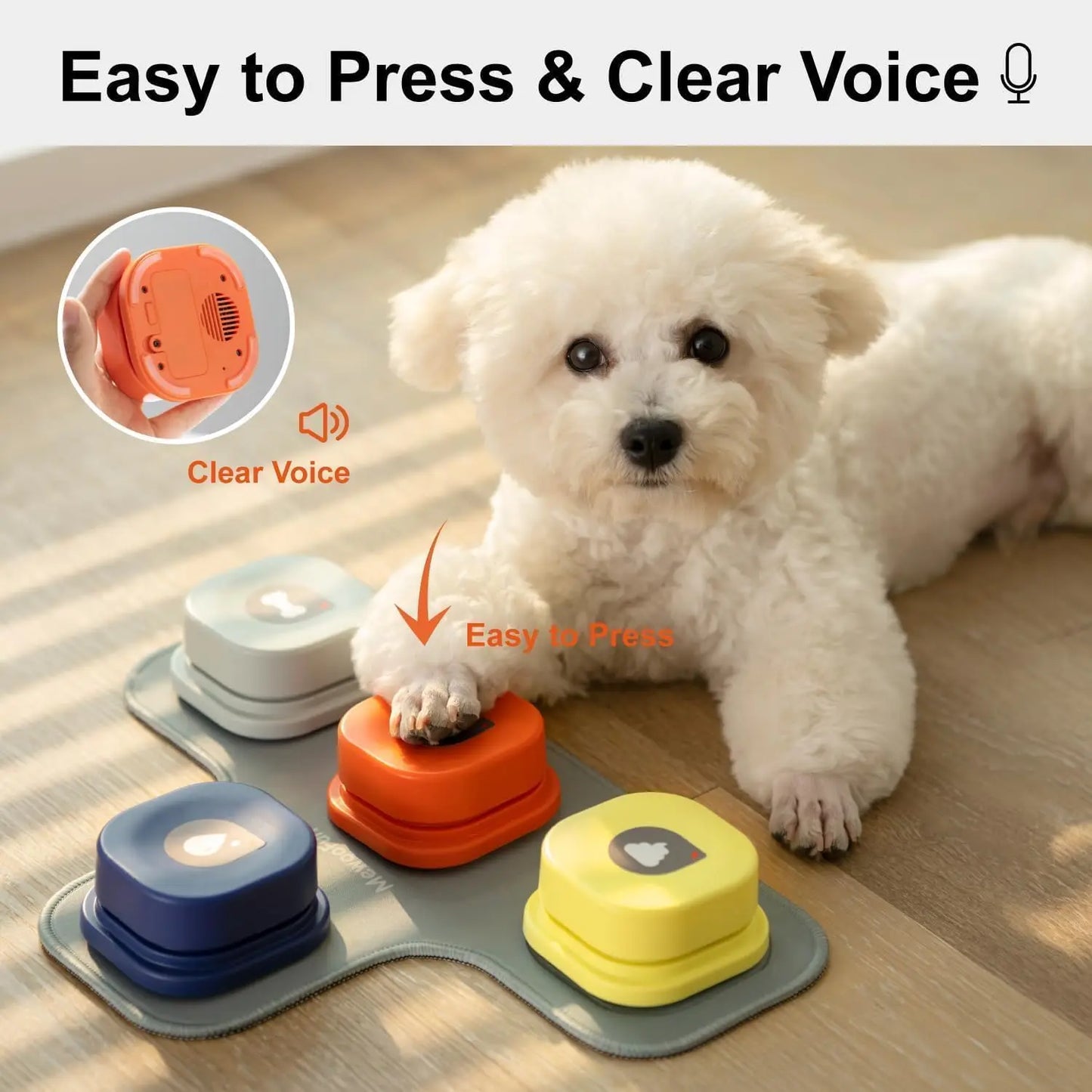 Vocal Training Interactive Ringer