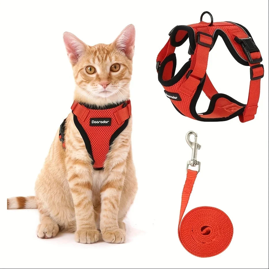 Cat Leash