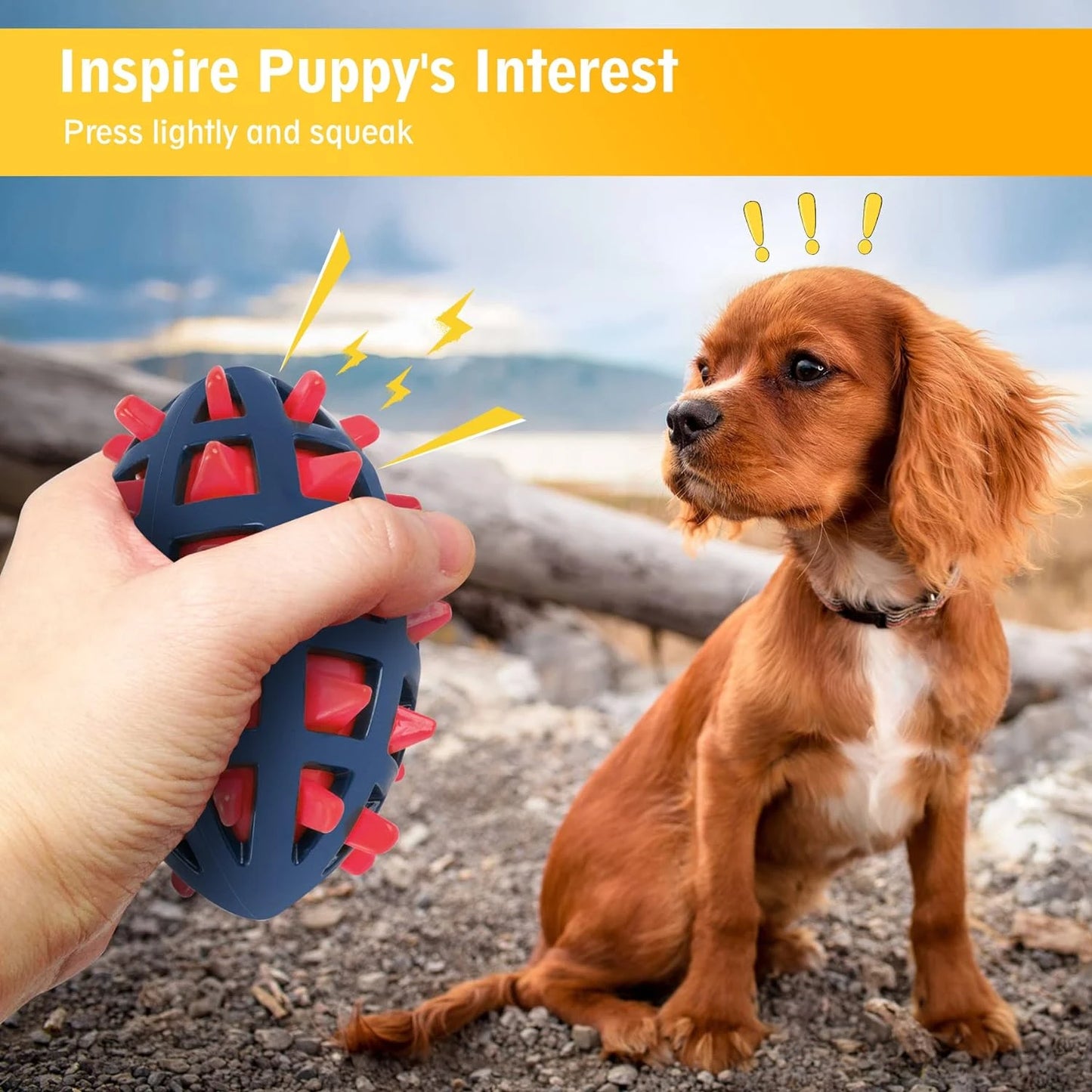 Interactive Fetch Toy for Your Furry Friend