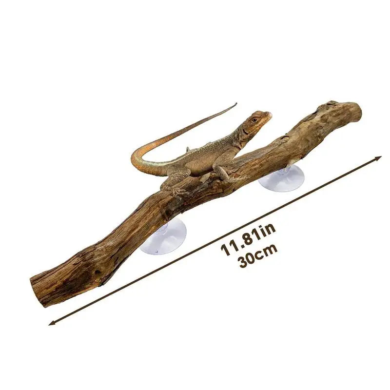 Climbing Branch