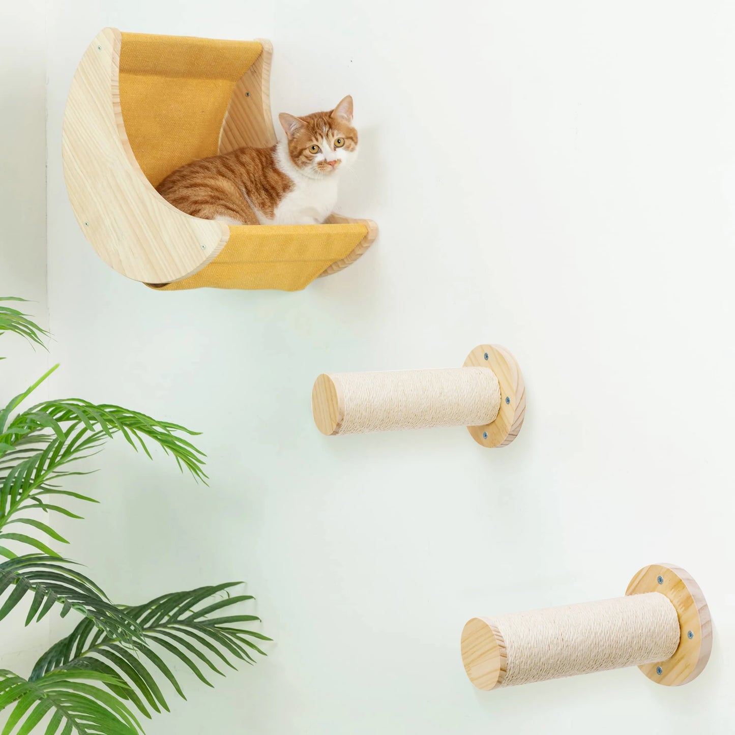 Cat Shelf Wall
