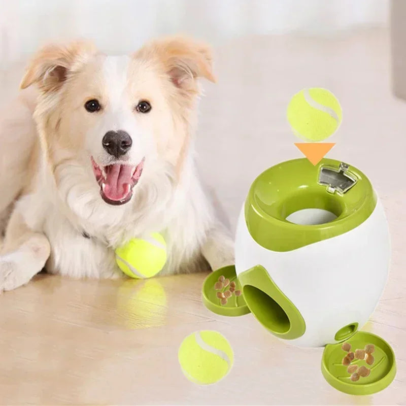 Interactive Ball Launcher