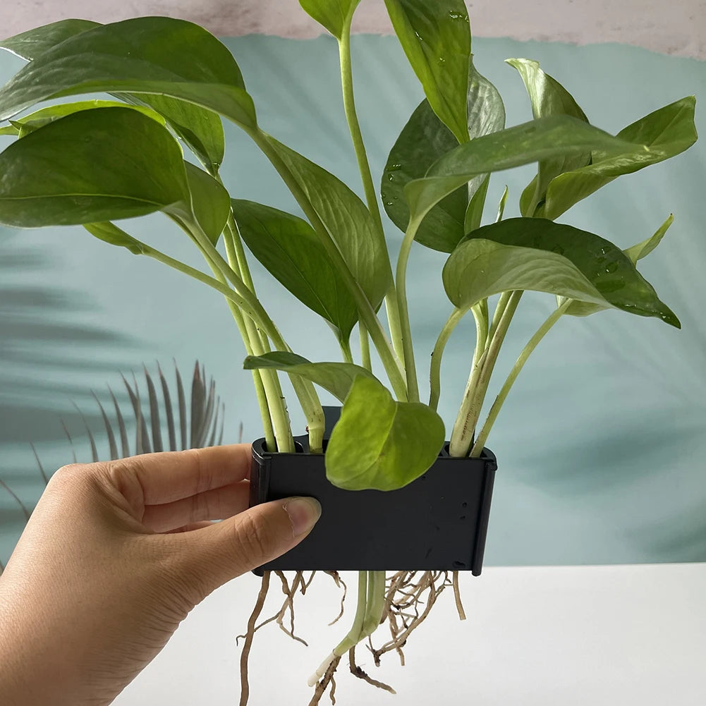 Hanging Plant Shelf with Integrated Hook