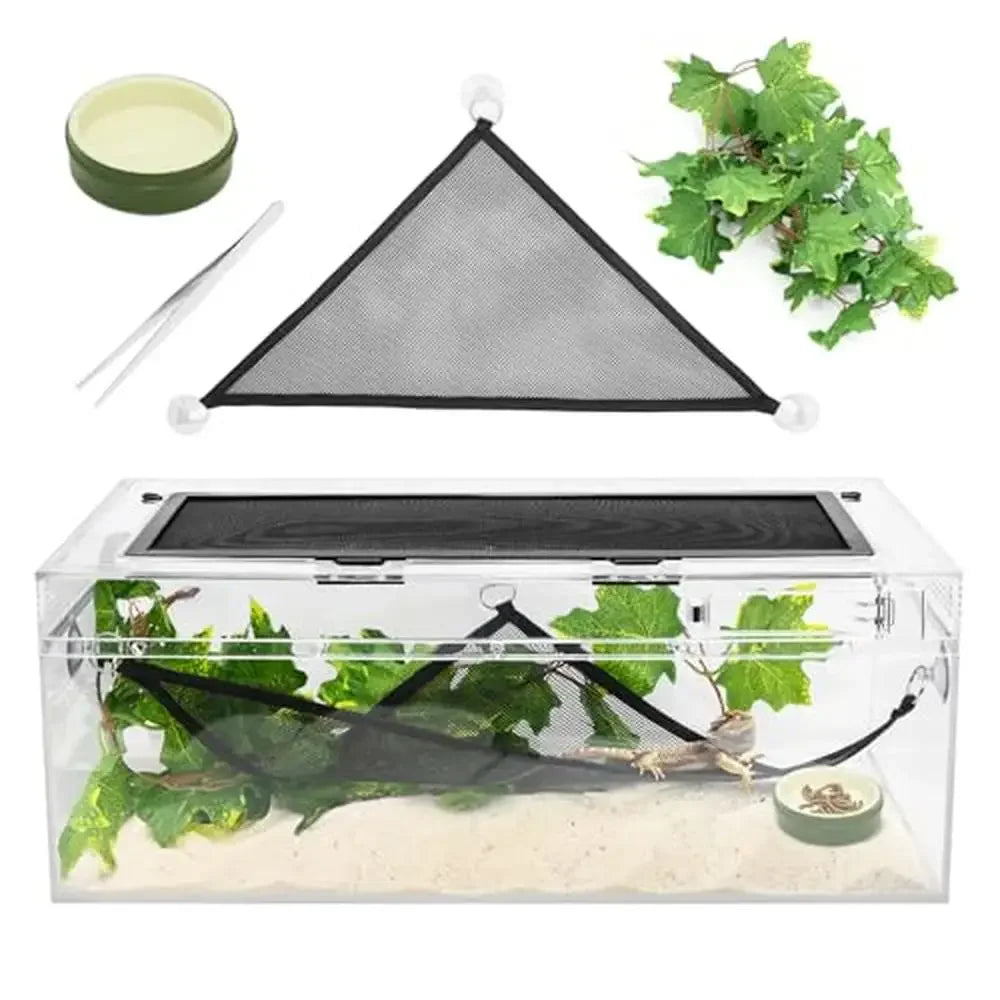 Reptile Terrarium Kit