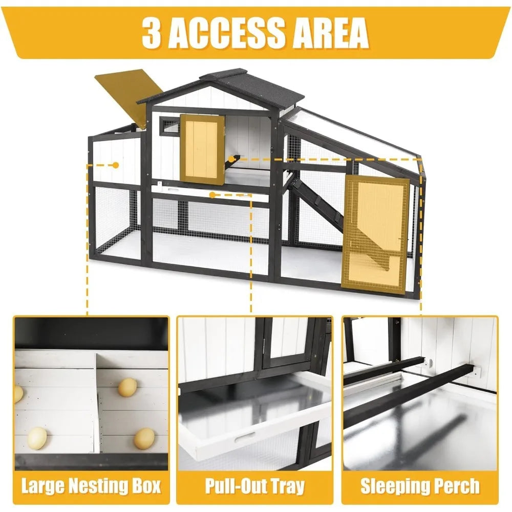 Chicken Coop and Run