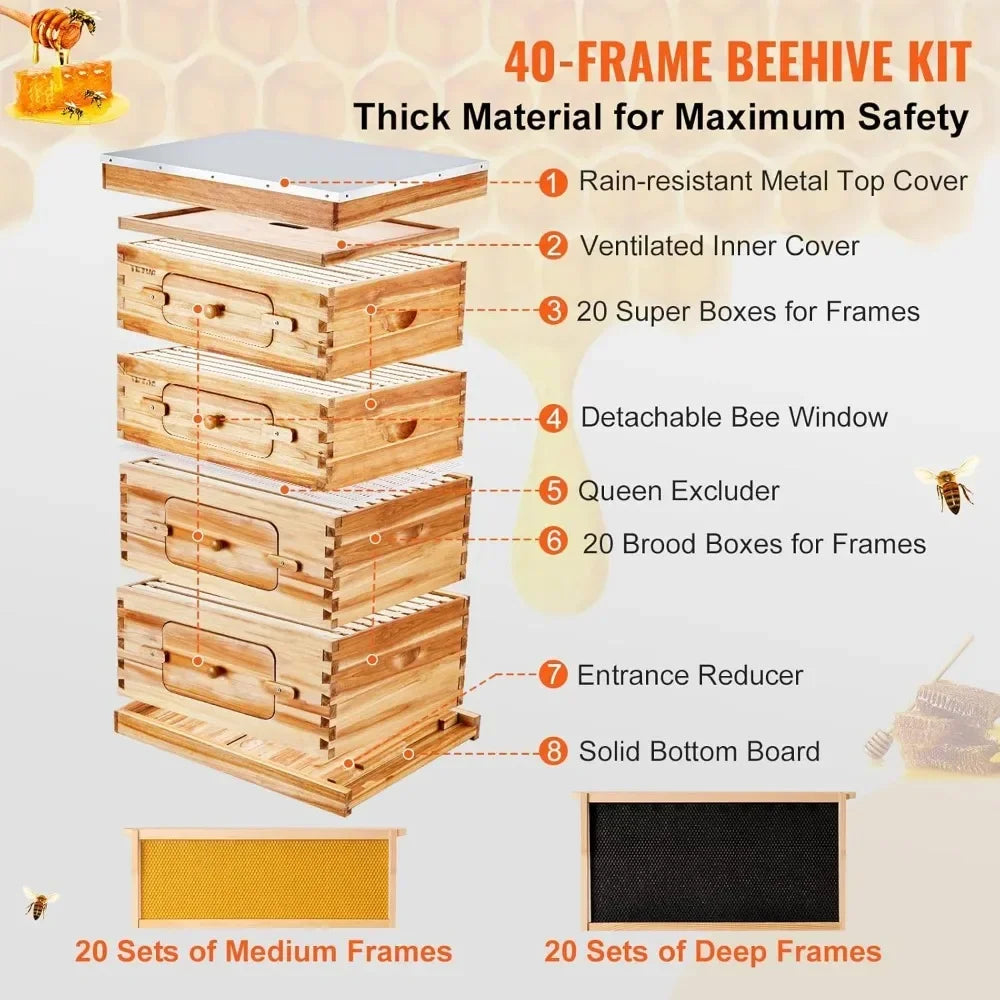 10 Frame Bee Hive