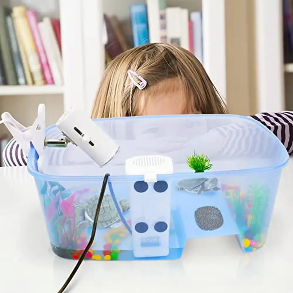 Turtle Aquarium Starter Kit