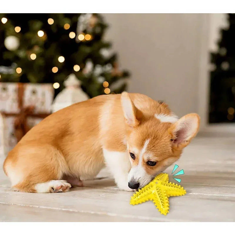 Starfish Interactive Rubber Toys