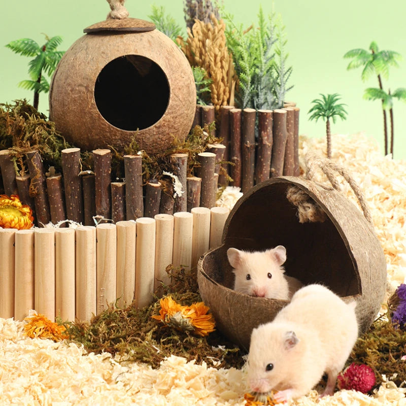 Natural Small Pet Coconut Hideout House