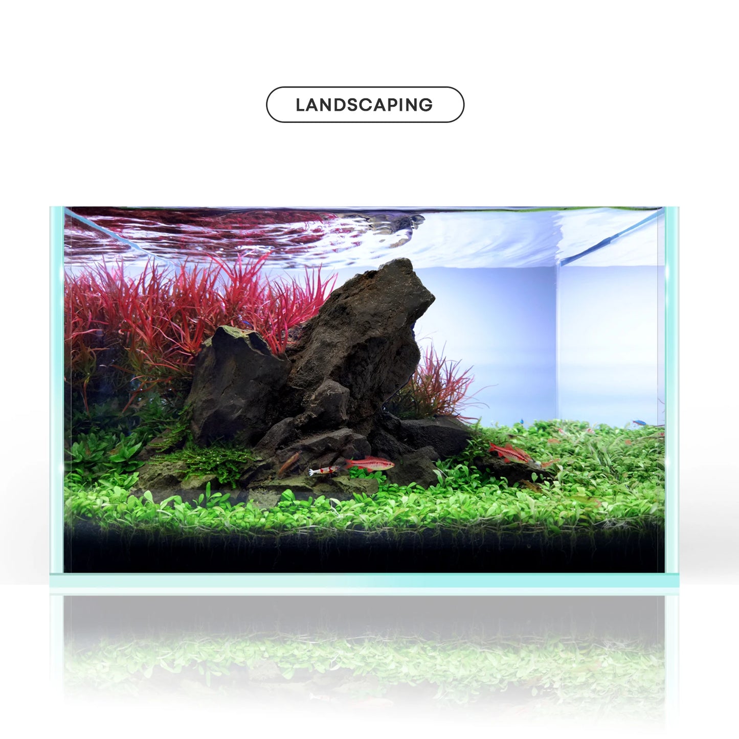 Aquarium Rocks