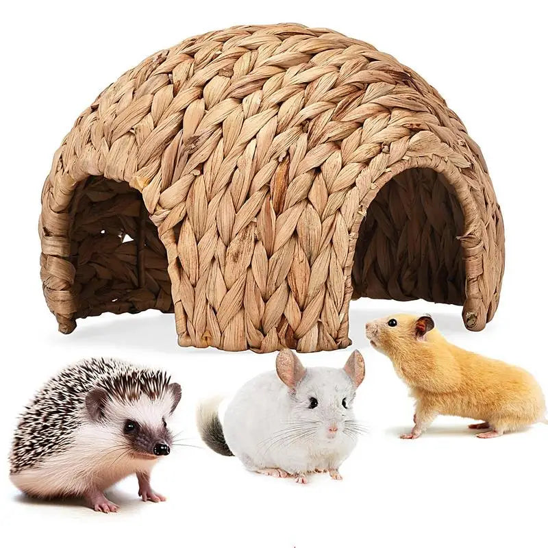 Grass Hideout