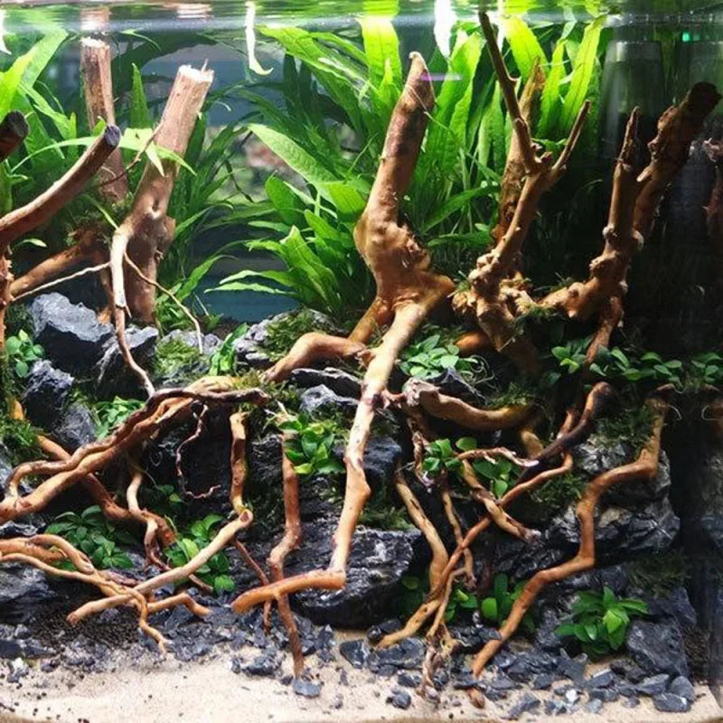 Aquarium Natural Driftwood