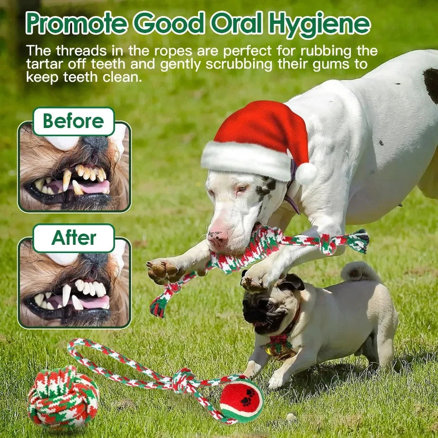 Aggressive Chewers Dog Toys