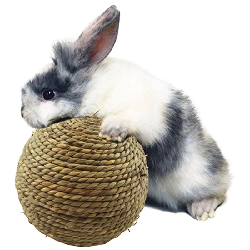Chew Toy Natural Grass Ball