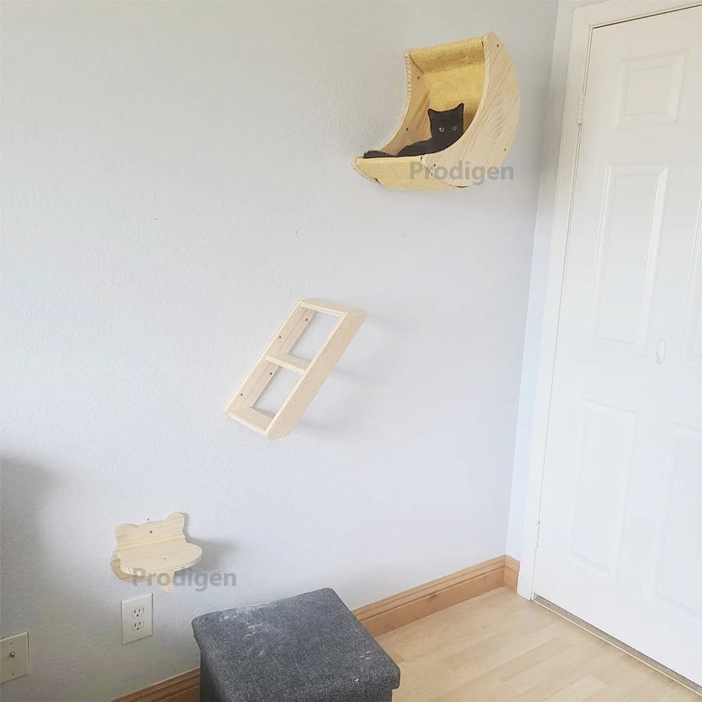 Cat Shelf Wall