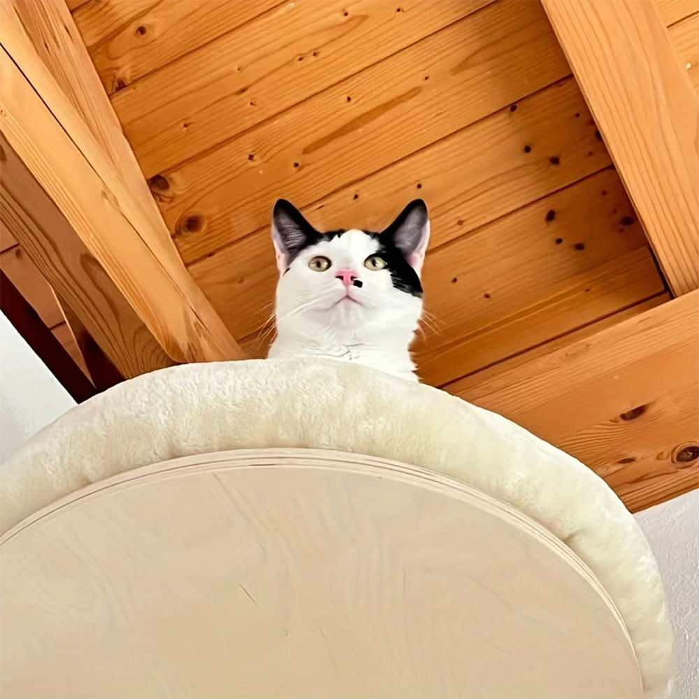 Solid Wooden Furniture Climbing Ladder and Cat Hammock