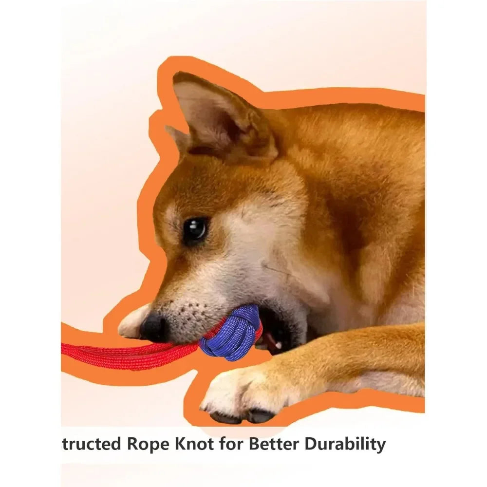 Dog Toys for Aggressive Chewers