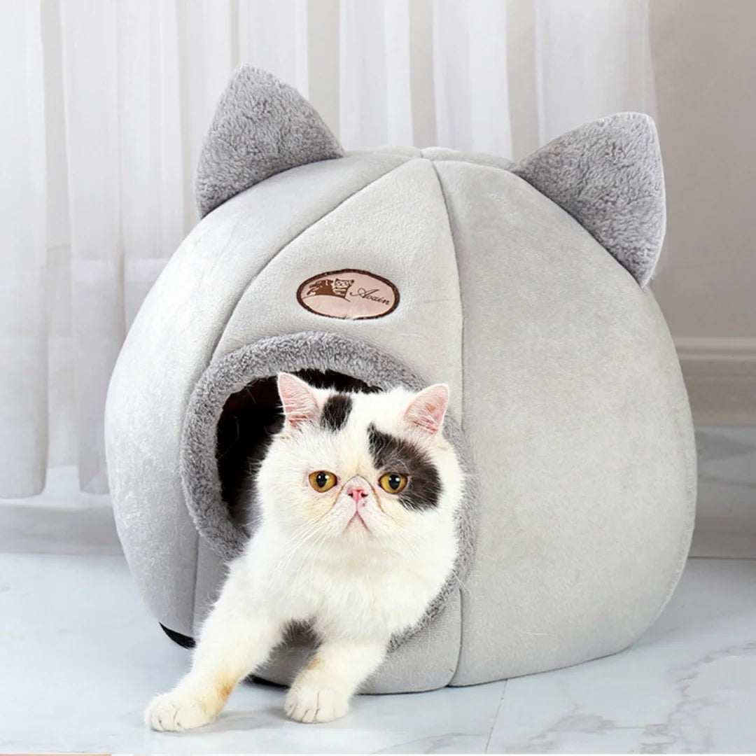 Cat bed