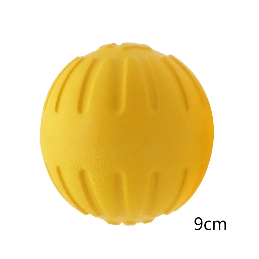Dog Ring Frisbeed Toys