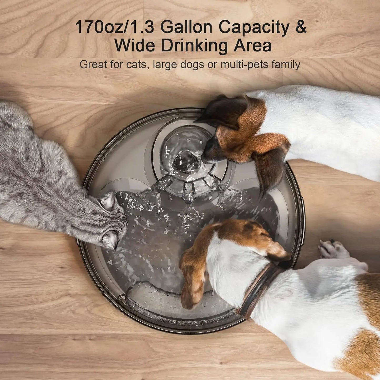 1.3Gallon/5L Large Automatic Pet Water Dispenser