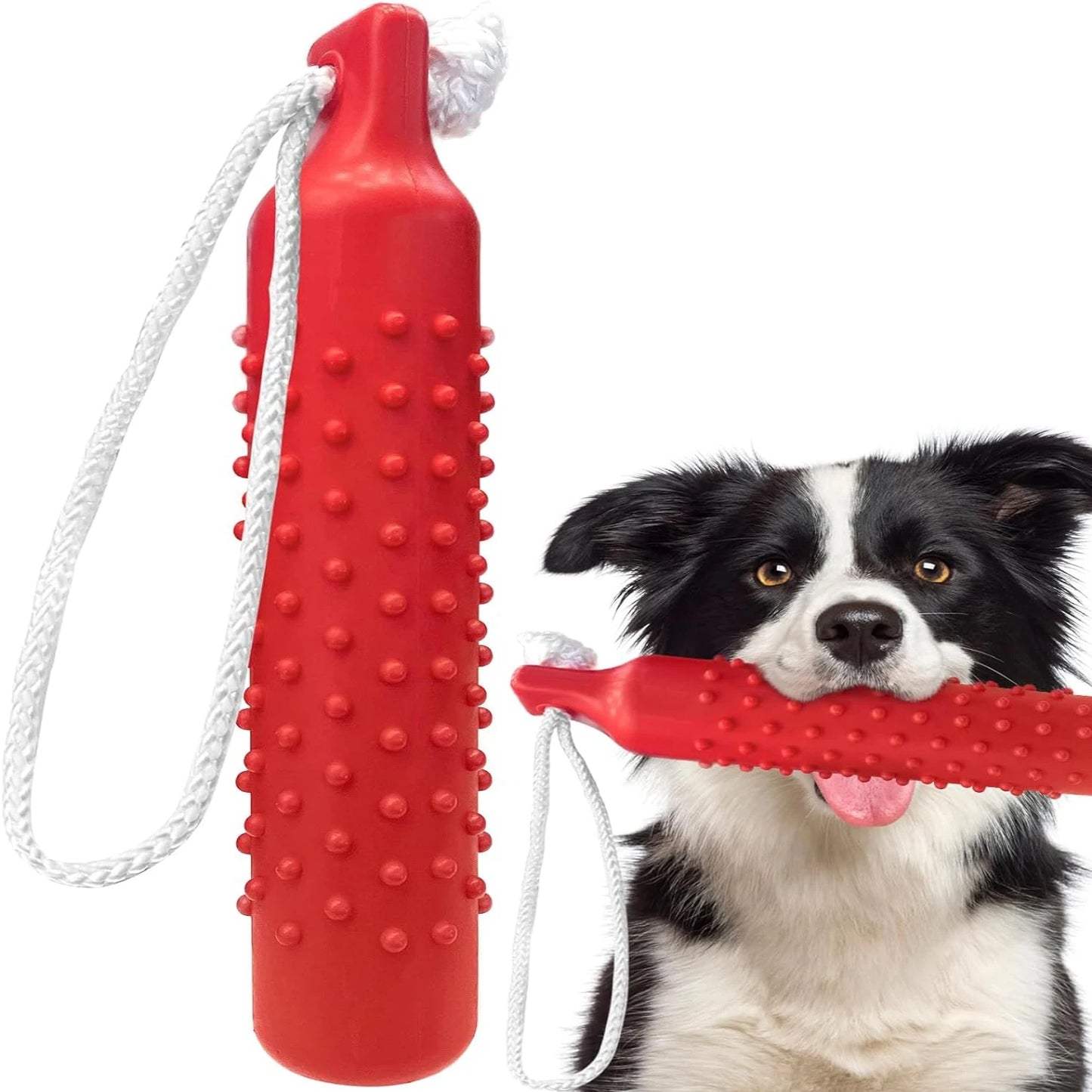 Beautiful XL Essential Retriever Training Bumpers