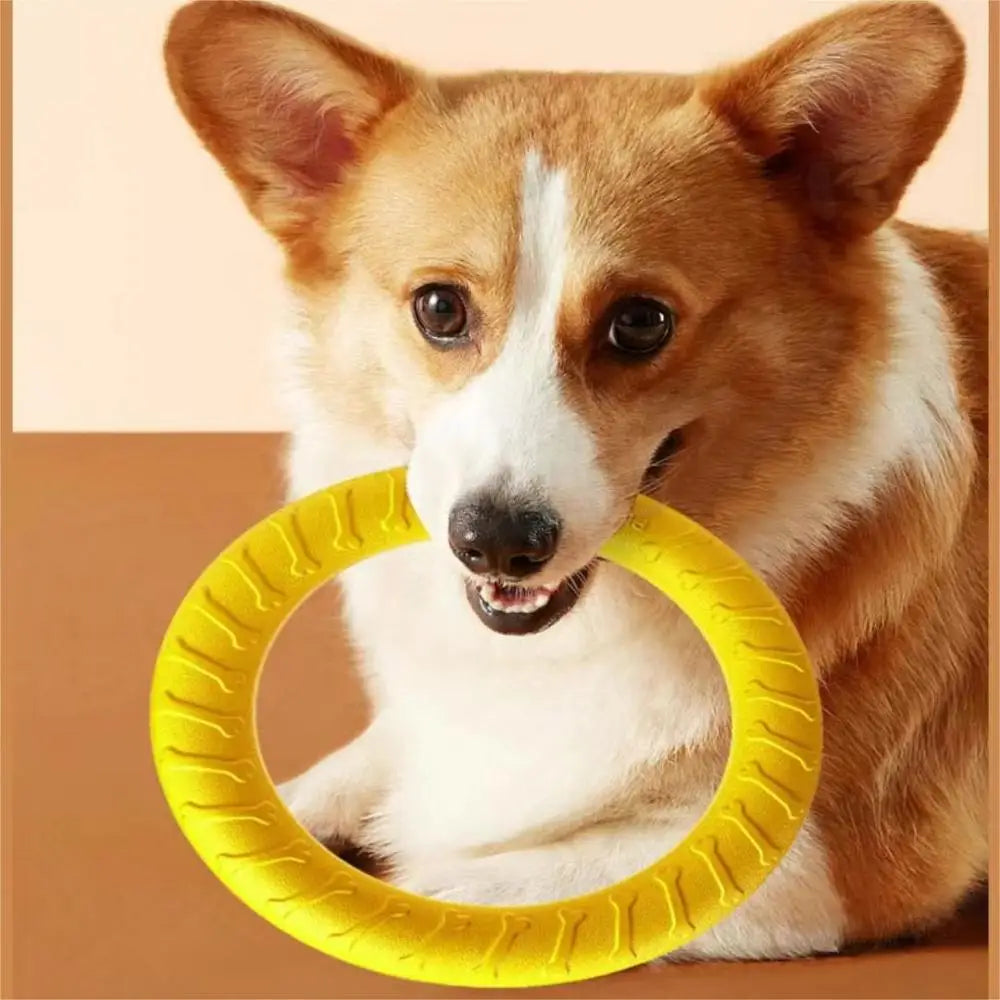 Dog Ring Frisbeed Toys