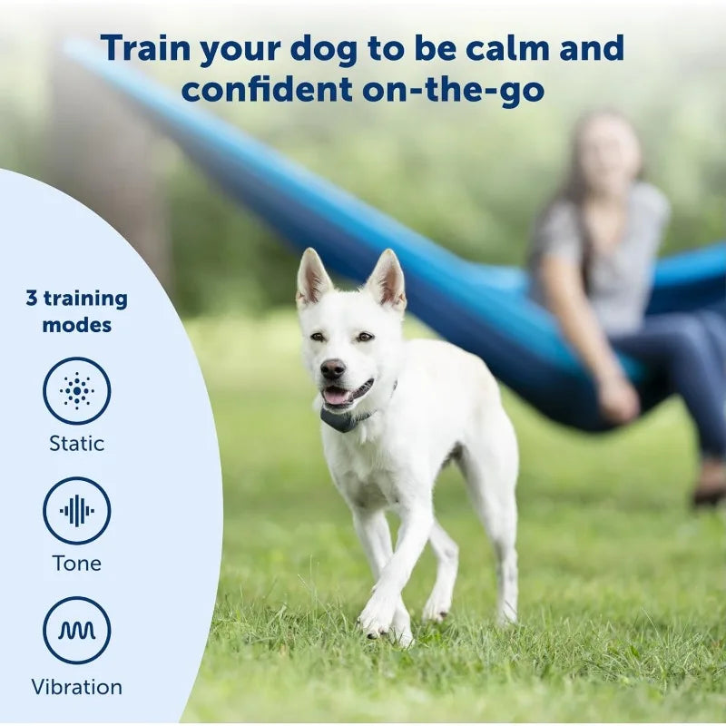 300 Yard Remote Training Collar