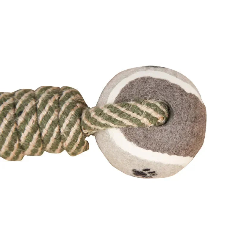 Interactive Dog Chew Toy