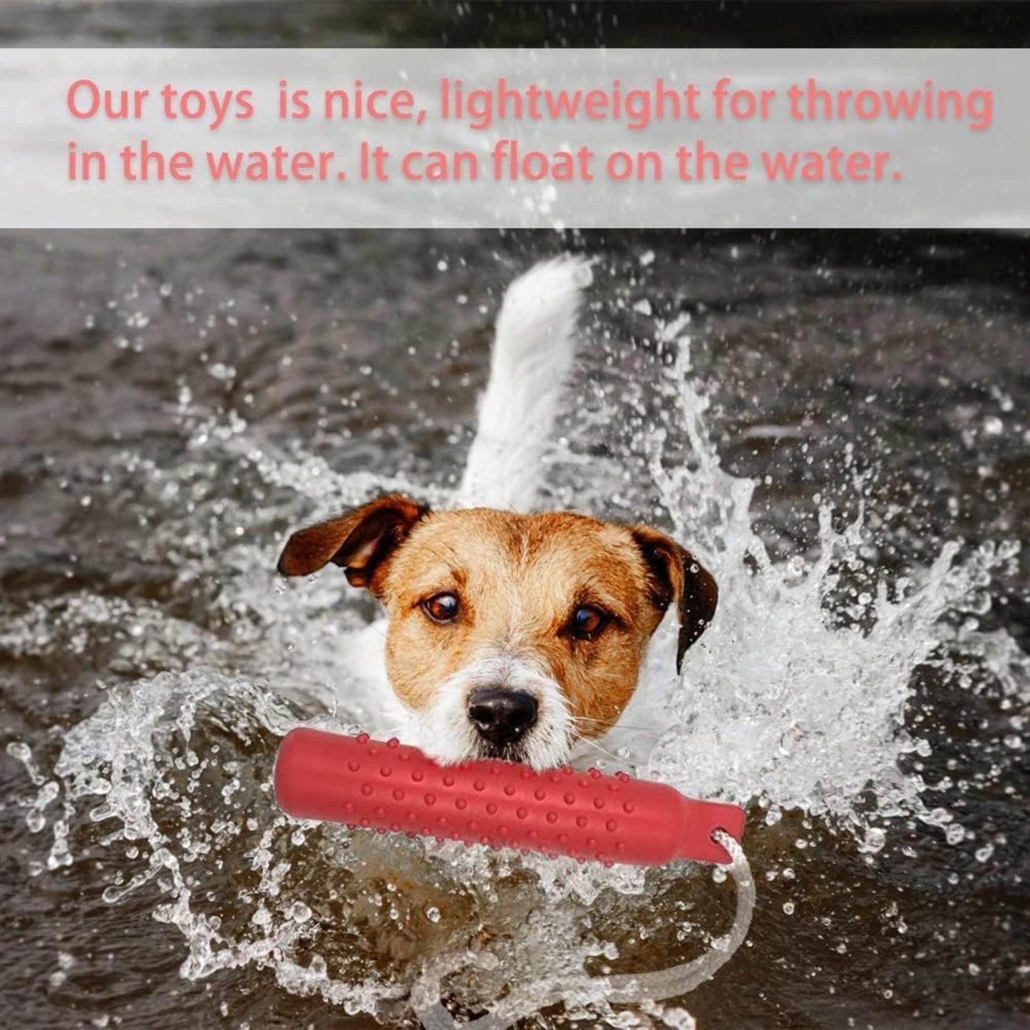 Beautiful XL Essential Retriever Training Bumpers