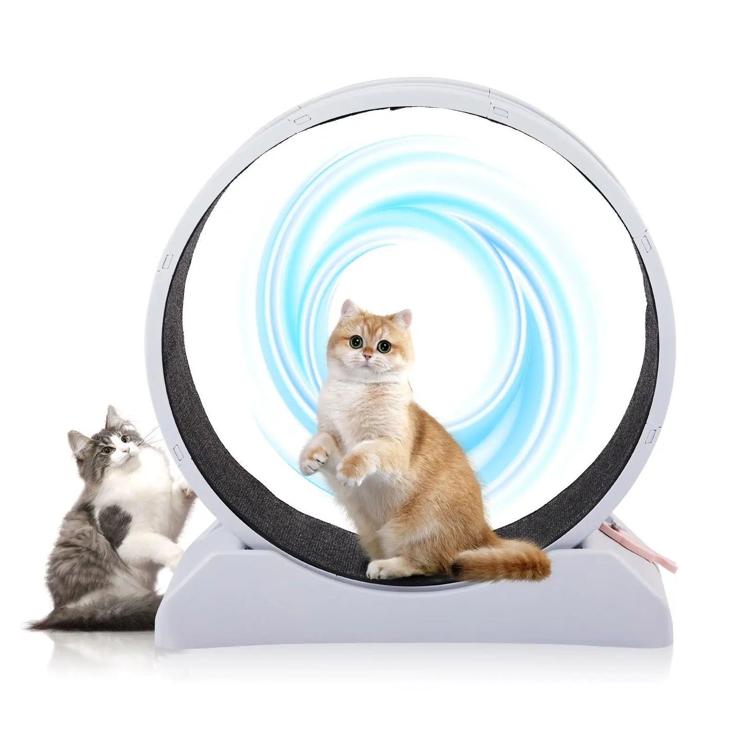 31-Inch Treadmill for cats